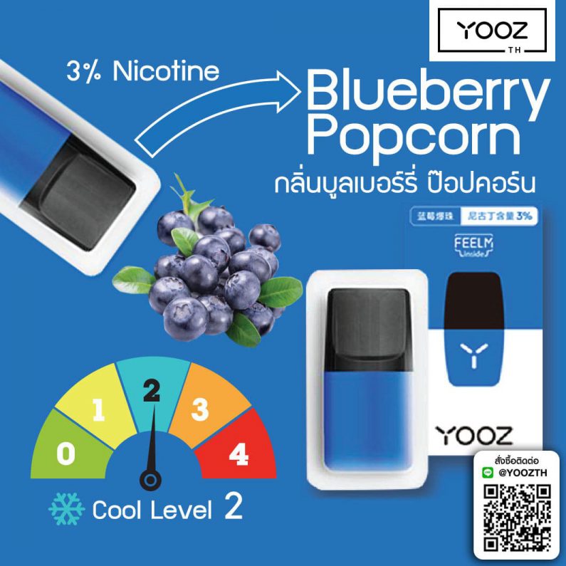 Yooz BlueBerry Popcorn